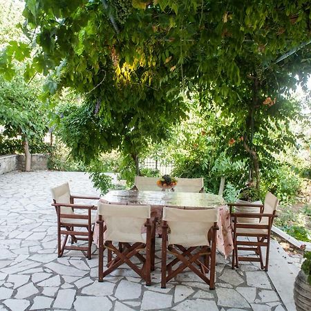 Villa Ilias Pinakokhorion Exteriér fotografie