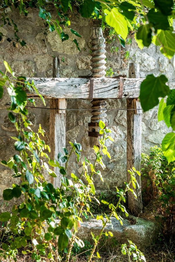 Villa Ilias Pinakokhorion Exteriér fotografie