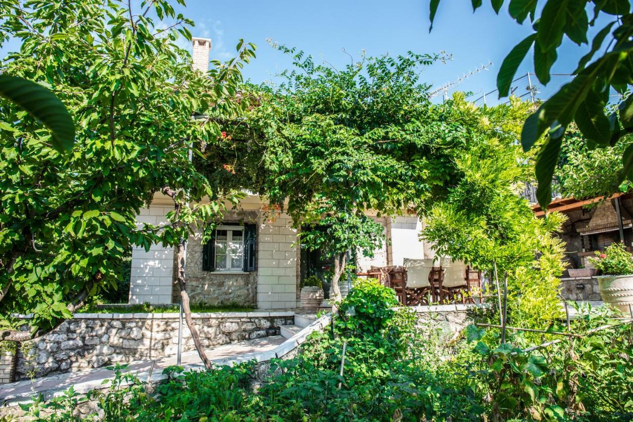 Villa Ilias Pinakokhorion Exteriér fotografie
