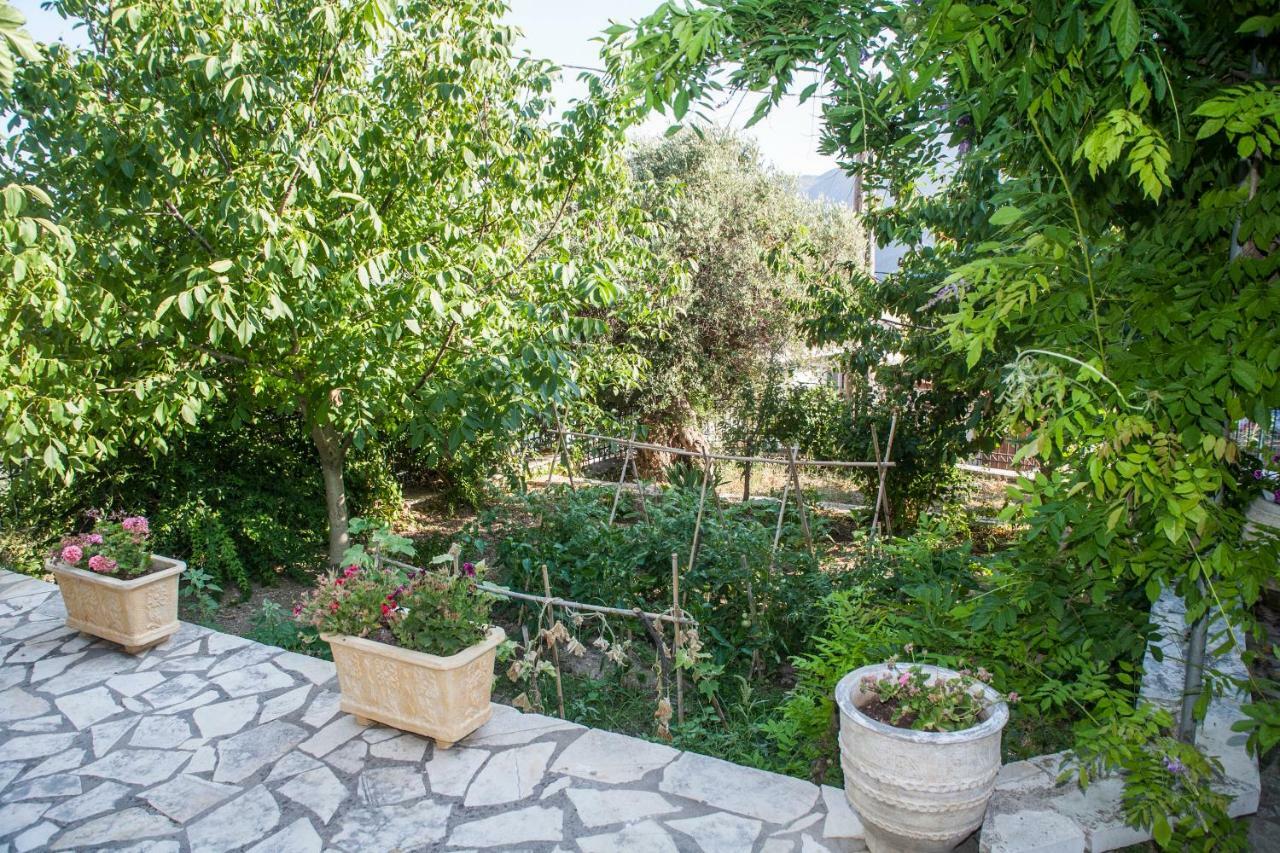 Villa Ilias Pinakokhorion Exteriér fotografie