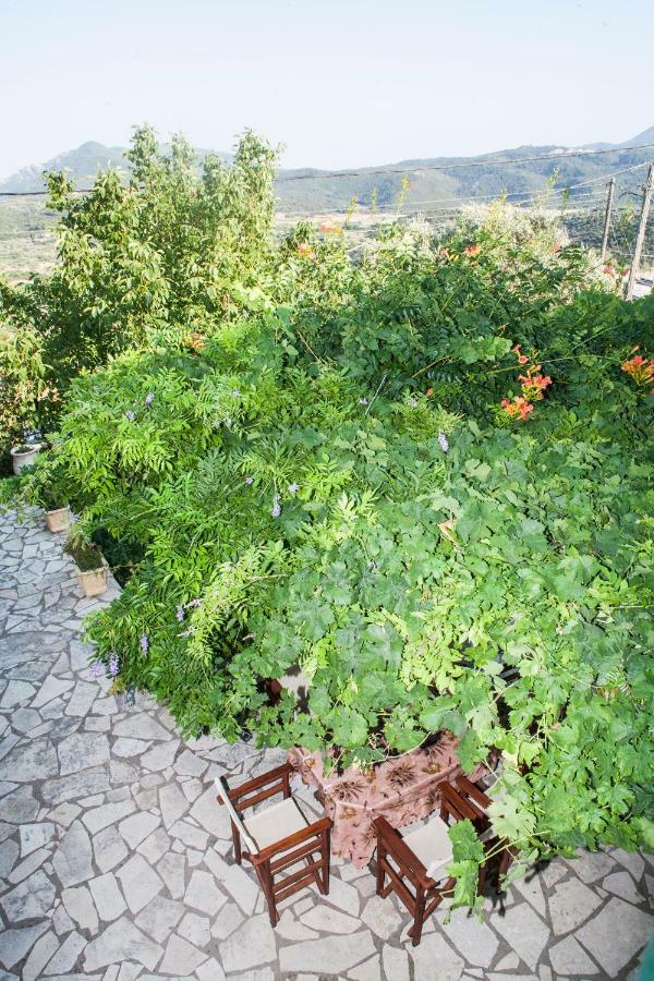 Villa Ilias Pinakokhorion Exteriér fotografie