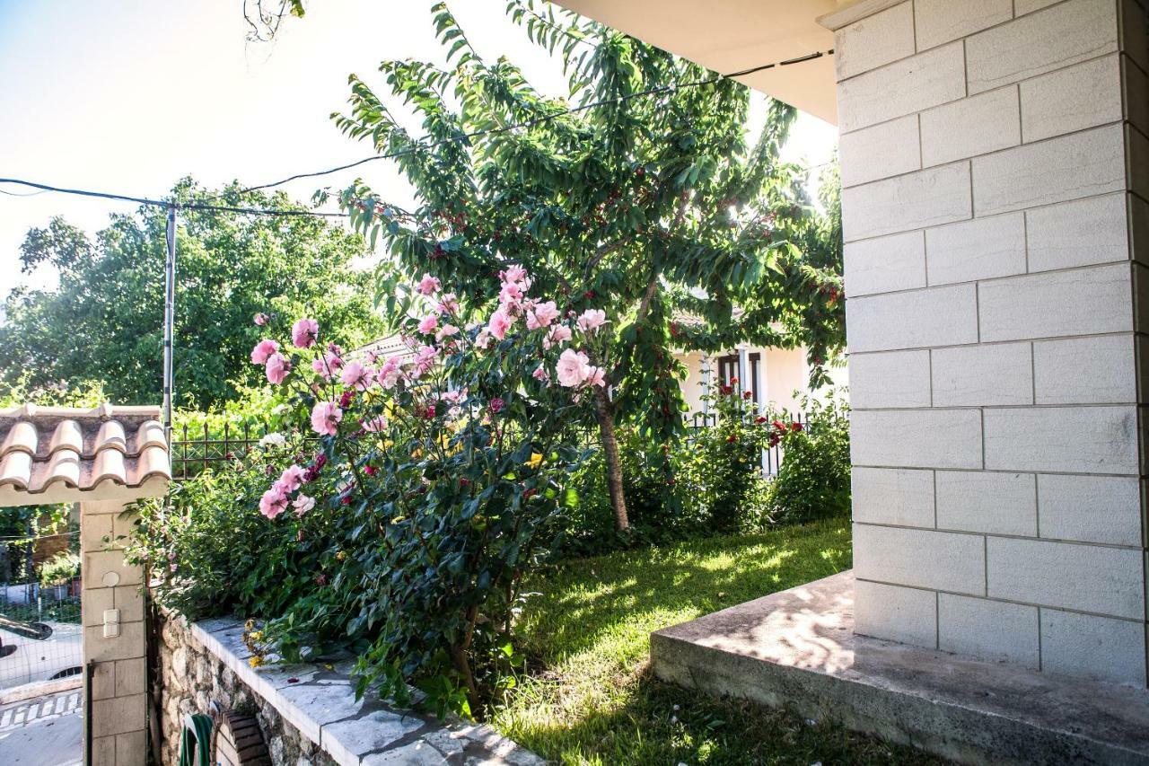 Villa Ilias Pinakokhorion Exteriér fotografie